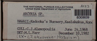 Image Associated With the Occurence